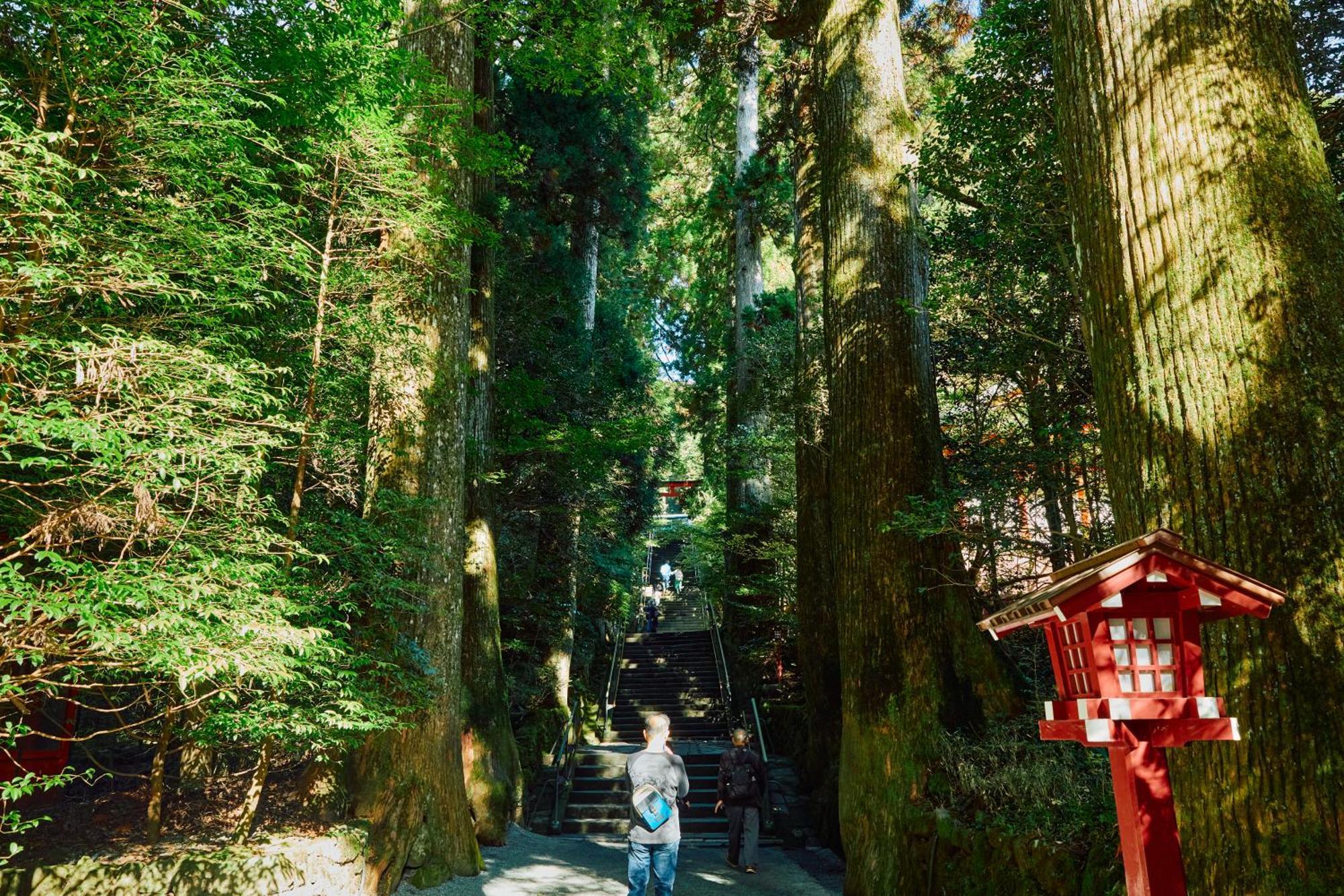 Villa Hakone Kabuto 古民家旅館 150平米 バス停迄一分 準天然温泉 最大12名 Bagian luar foto